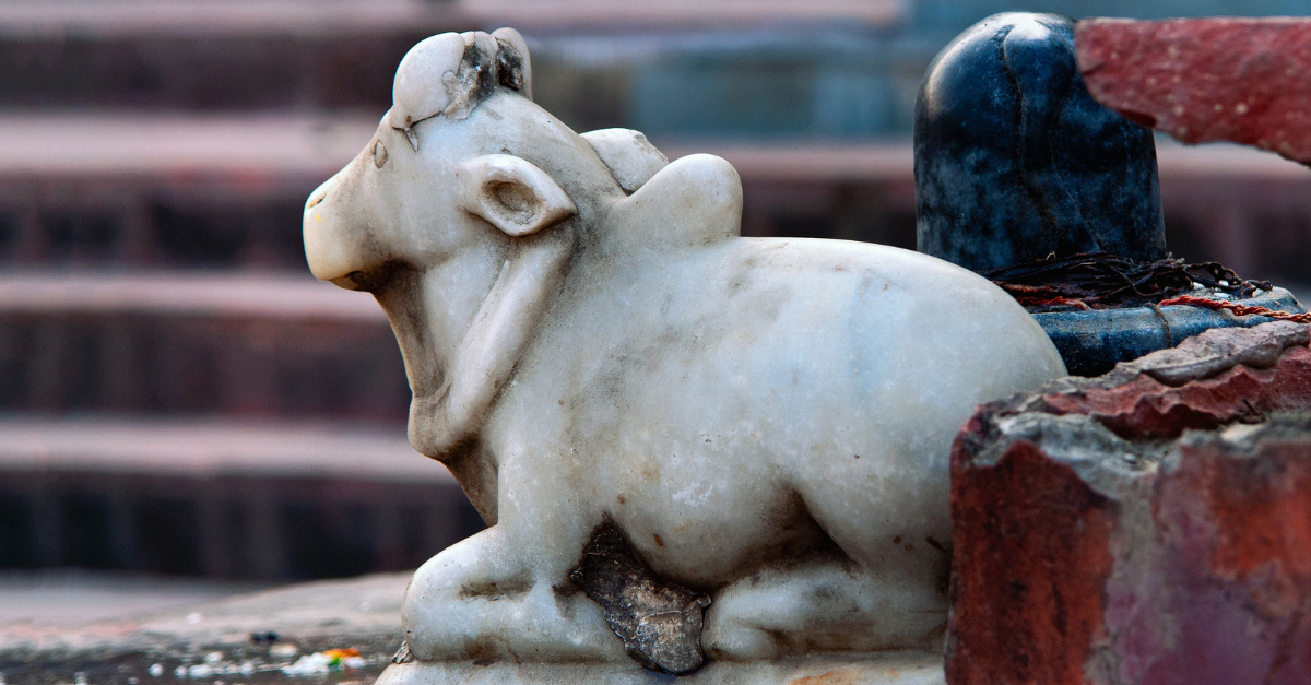 No Sacred Cows?